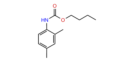 Butyl 2,4-dimethylphenylcarbamate